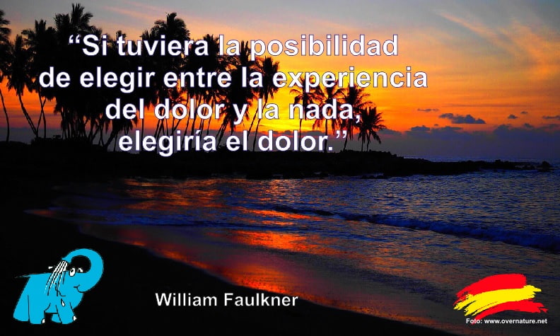 Si tuviera la posibilidad de elegir entre la experiencia del dolor y la nada, elegiría el dolor.
